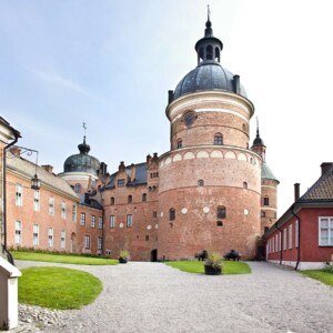 Stockholm Castle tour Drottningholm and Gripsholm Castle with Private guide