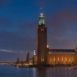 Stockholm VIP City tour and Vasa museum by car with private guide