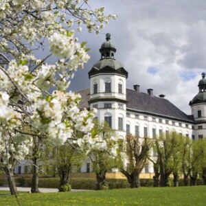 Stockholm private tour to Skokloster Castle and Viking city Sigtuna by VIP car